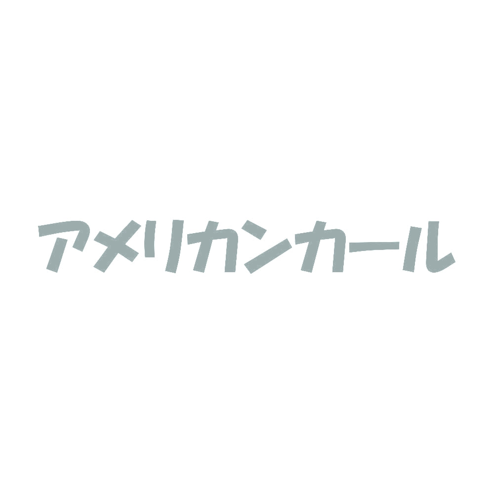 アメリカンカール 10