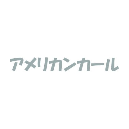 アメリカンカール 10