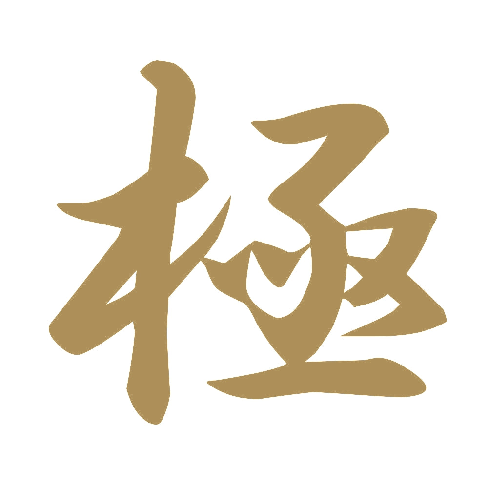 極 9