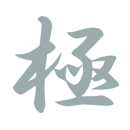 極 10