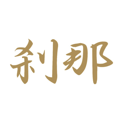 刹那 9