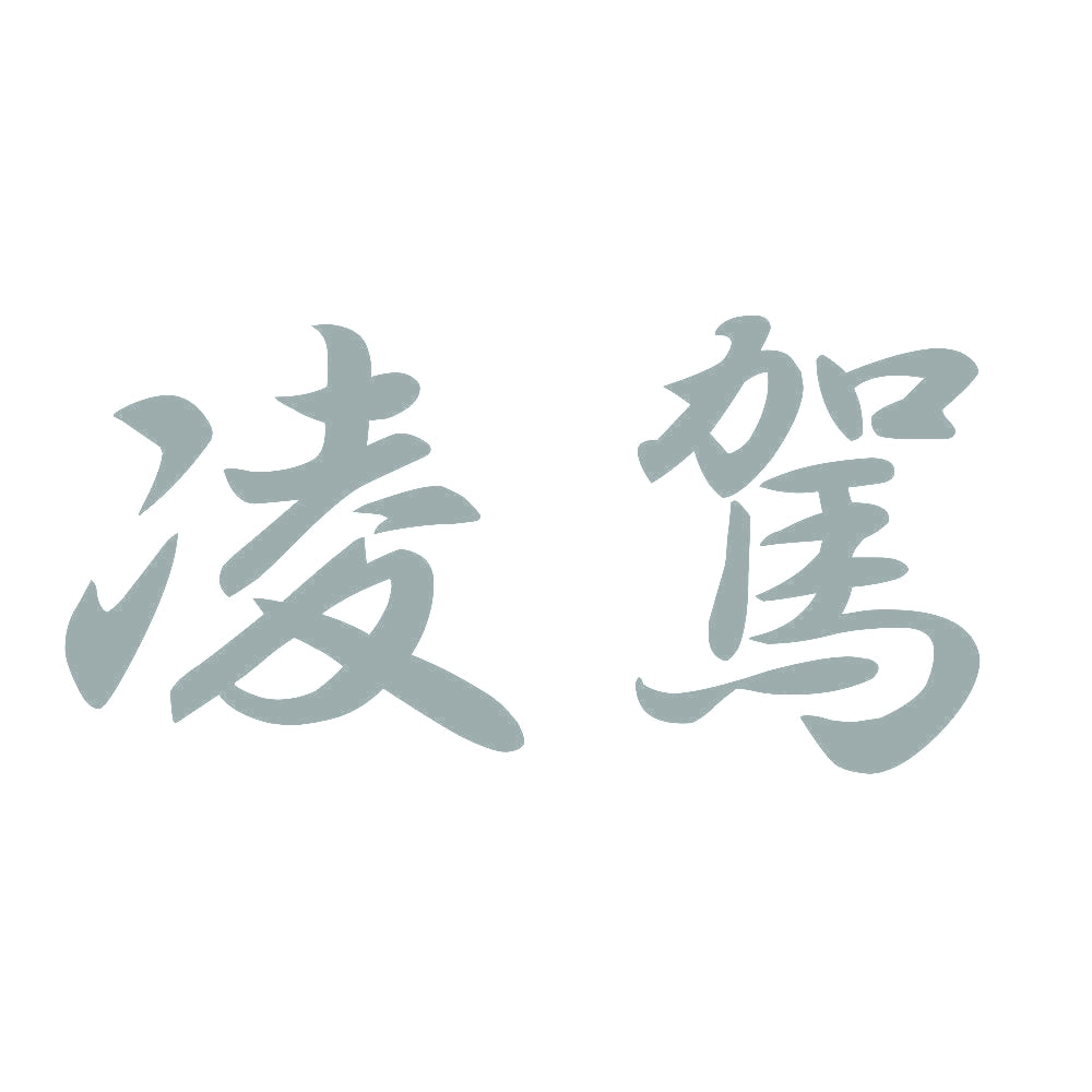 凌駕 10