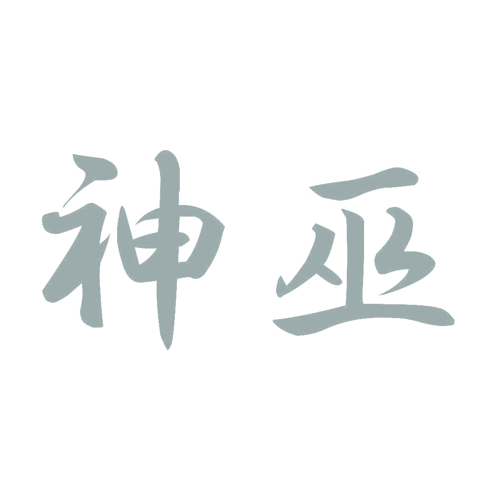 神巫 10