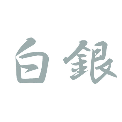 白銀 10
