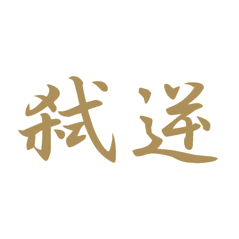 弑逆 9