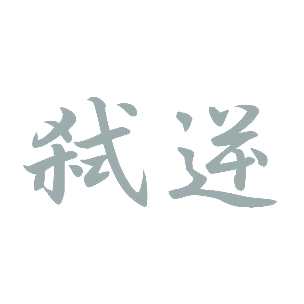 弑逆 10