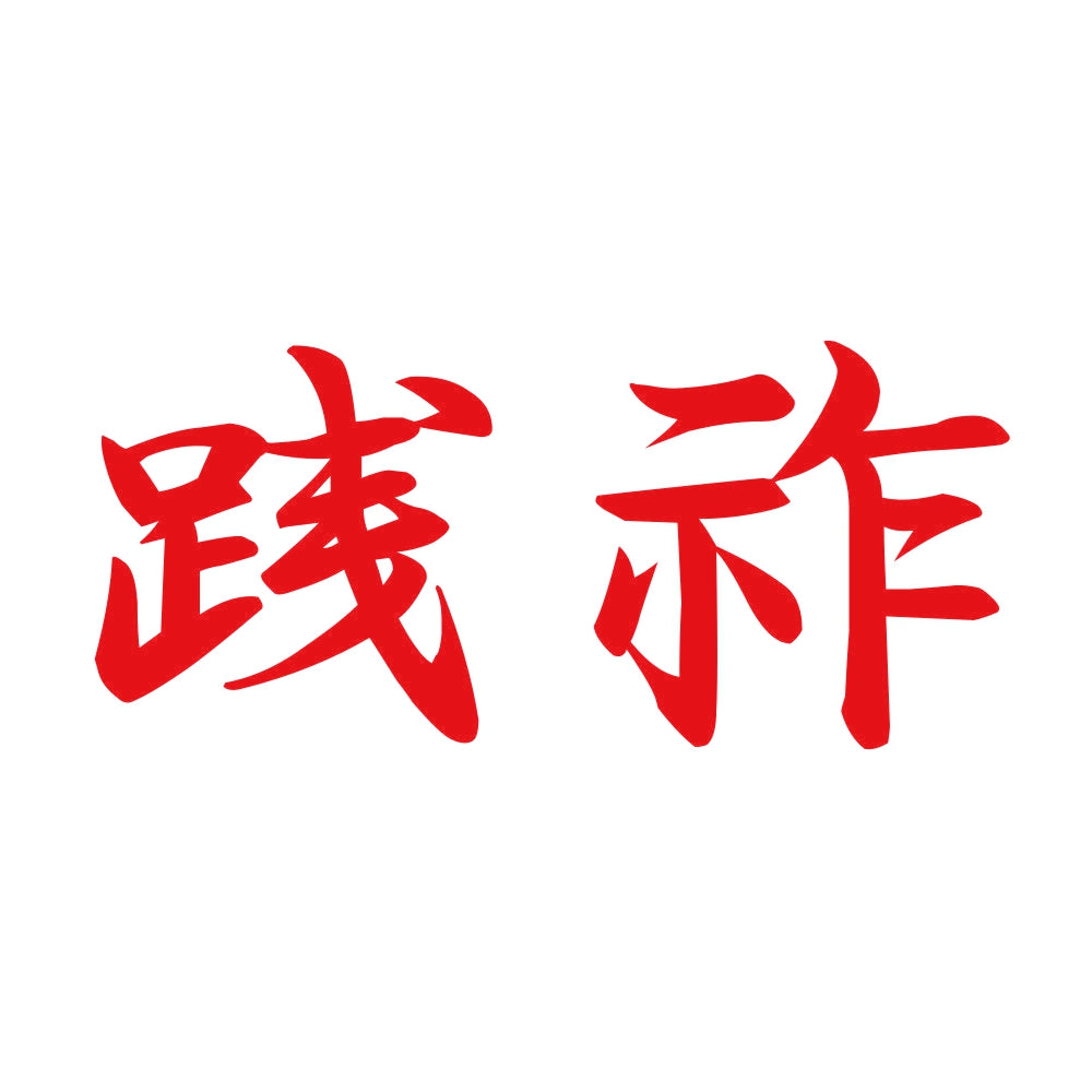 践祚 8