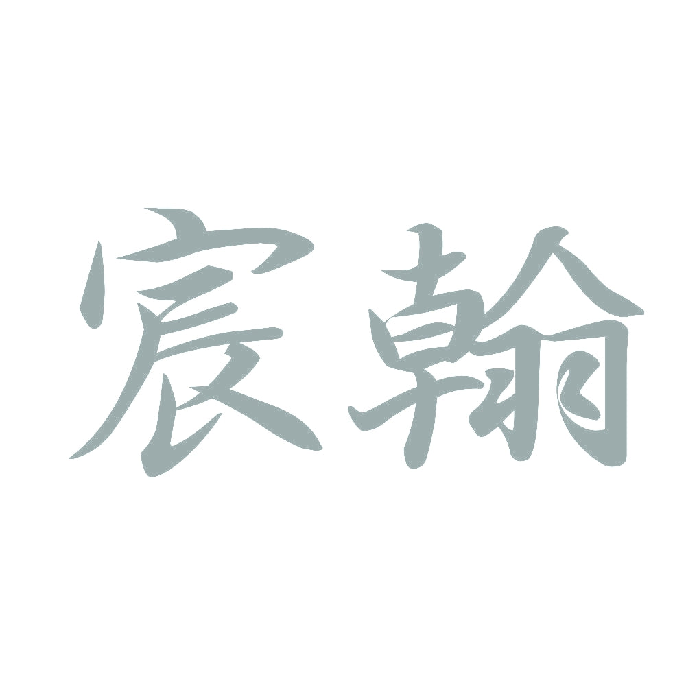 宸翰 10
