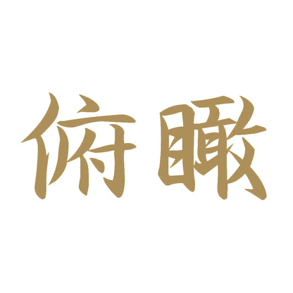 俯瞰 9