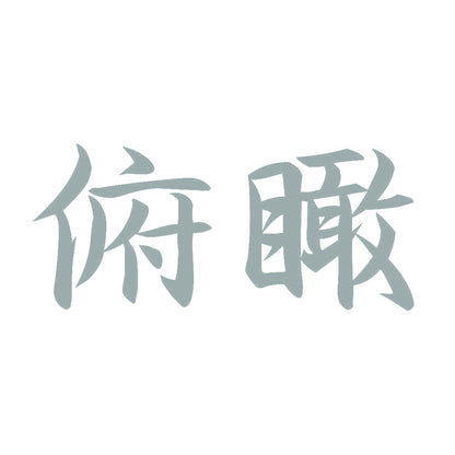 俯瞰 10