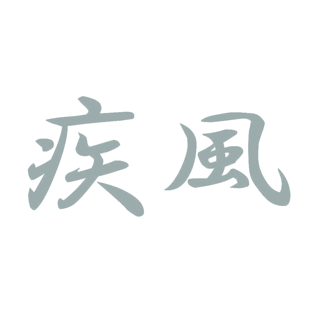 疾風 10
