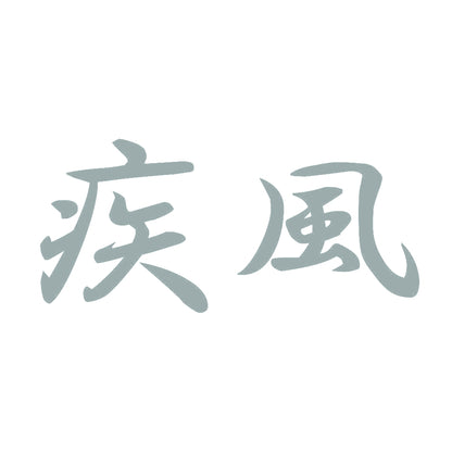 疾風 10