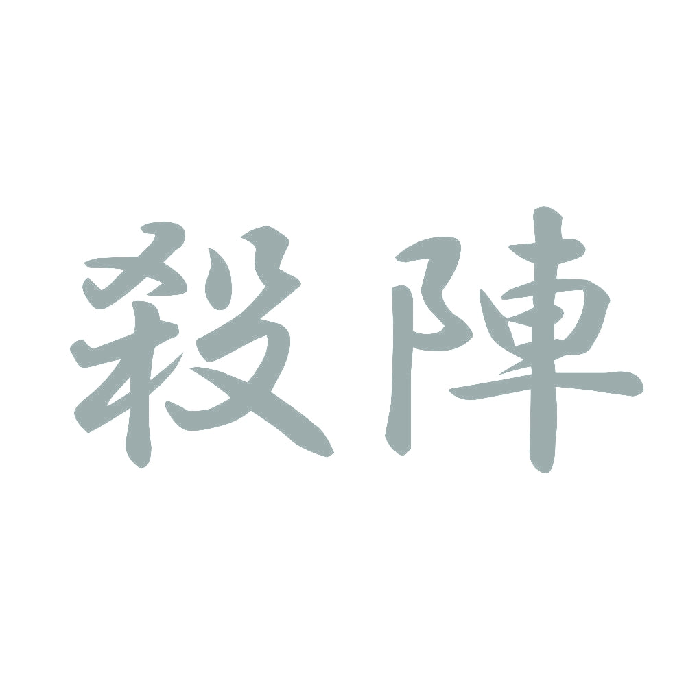 殺陣 10