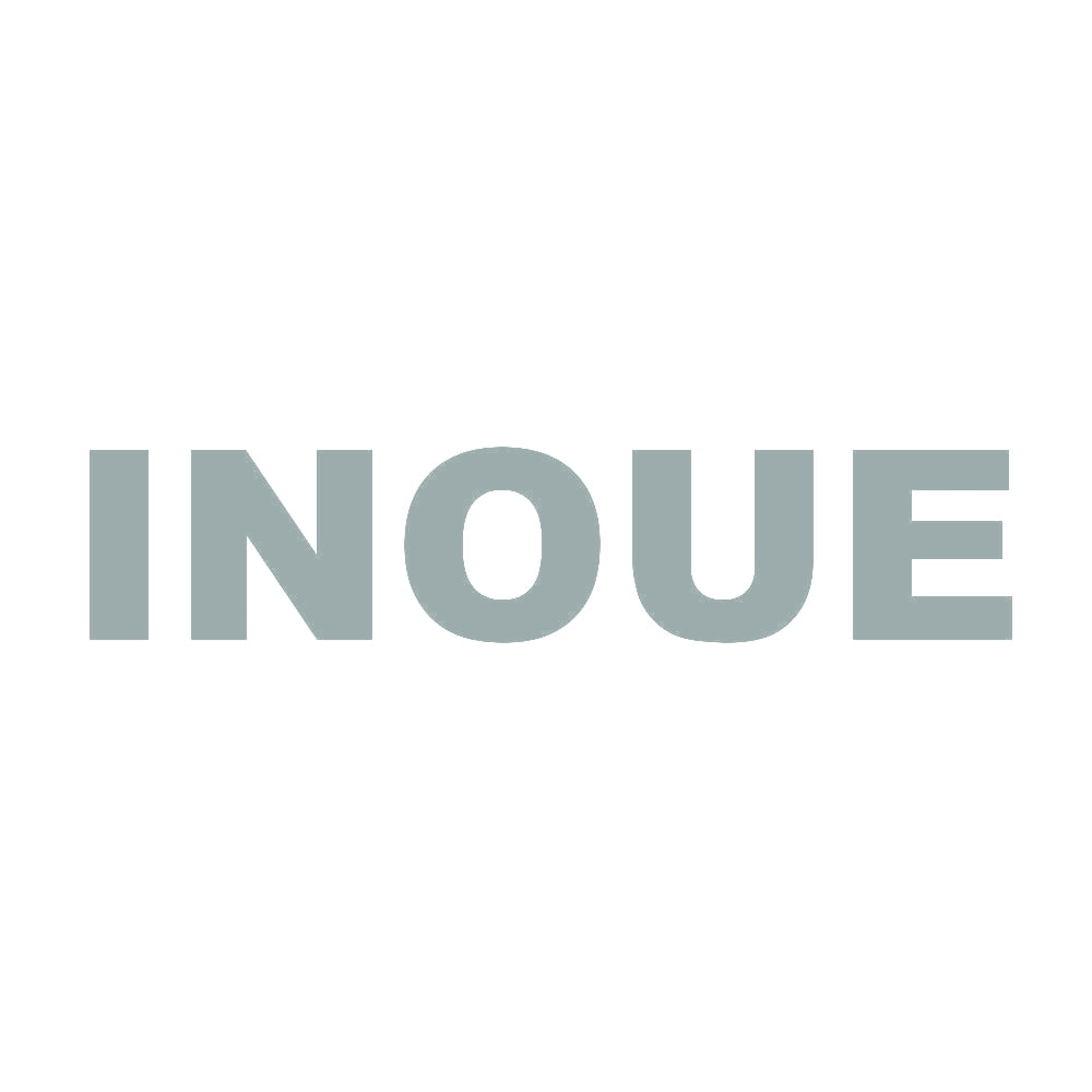 INOUE 10