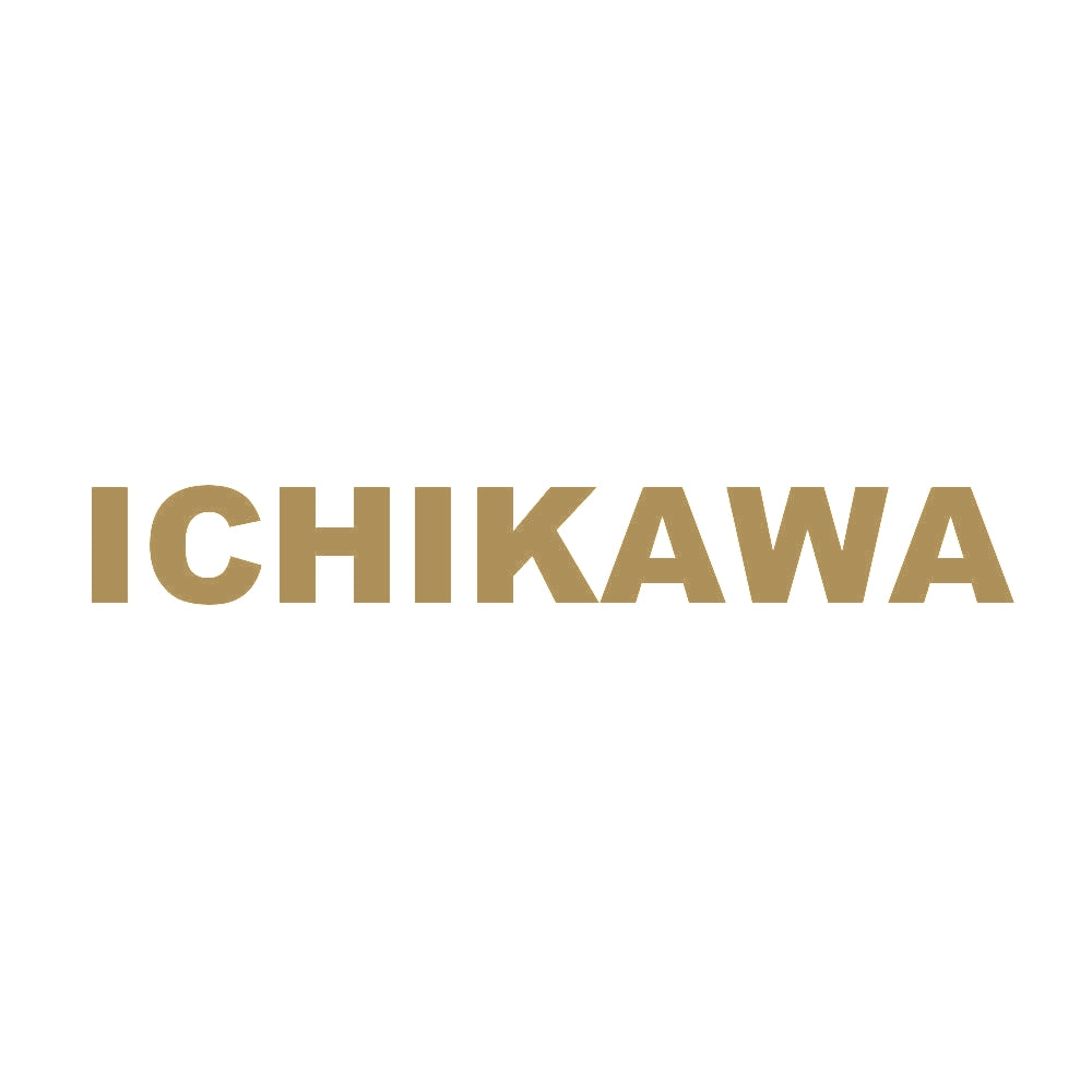 ICHIKAWA 9