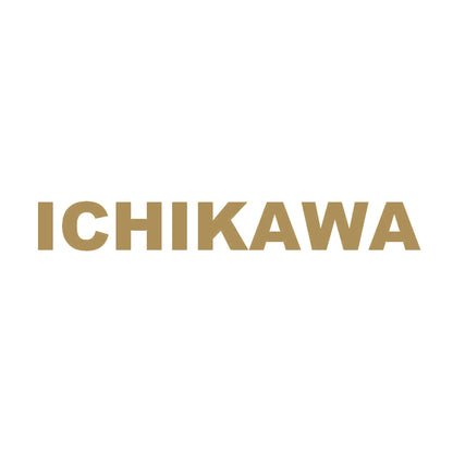 ICHIKAWA 9