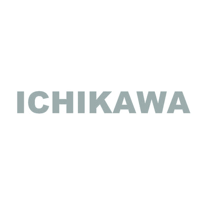 ICHIKAWA 10