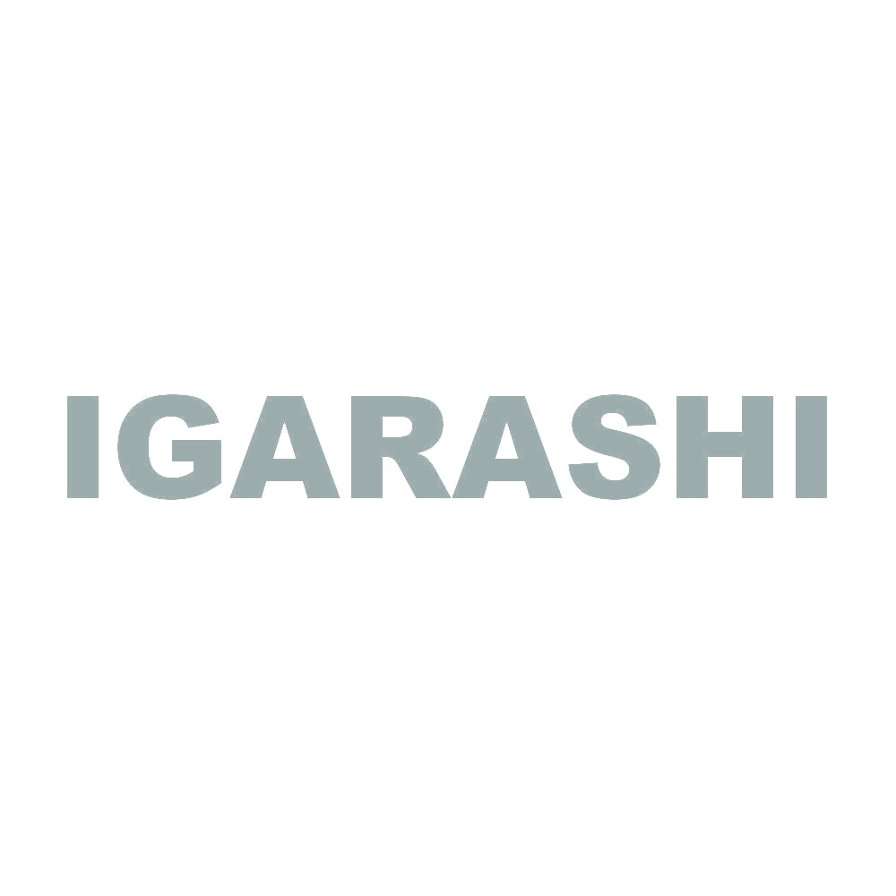 IGARASHI 10