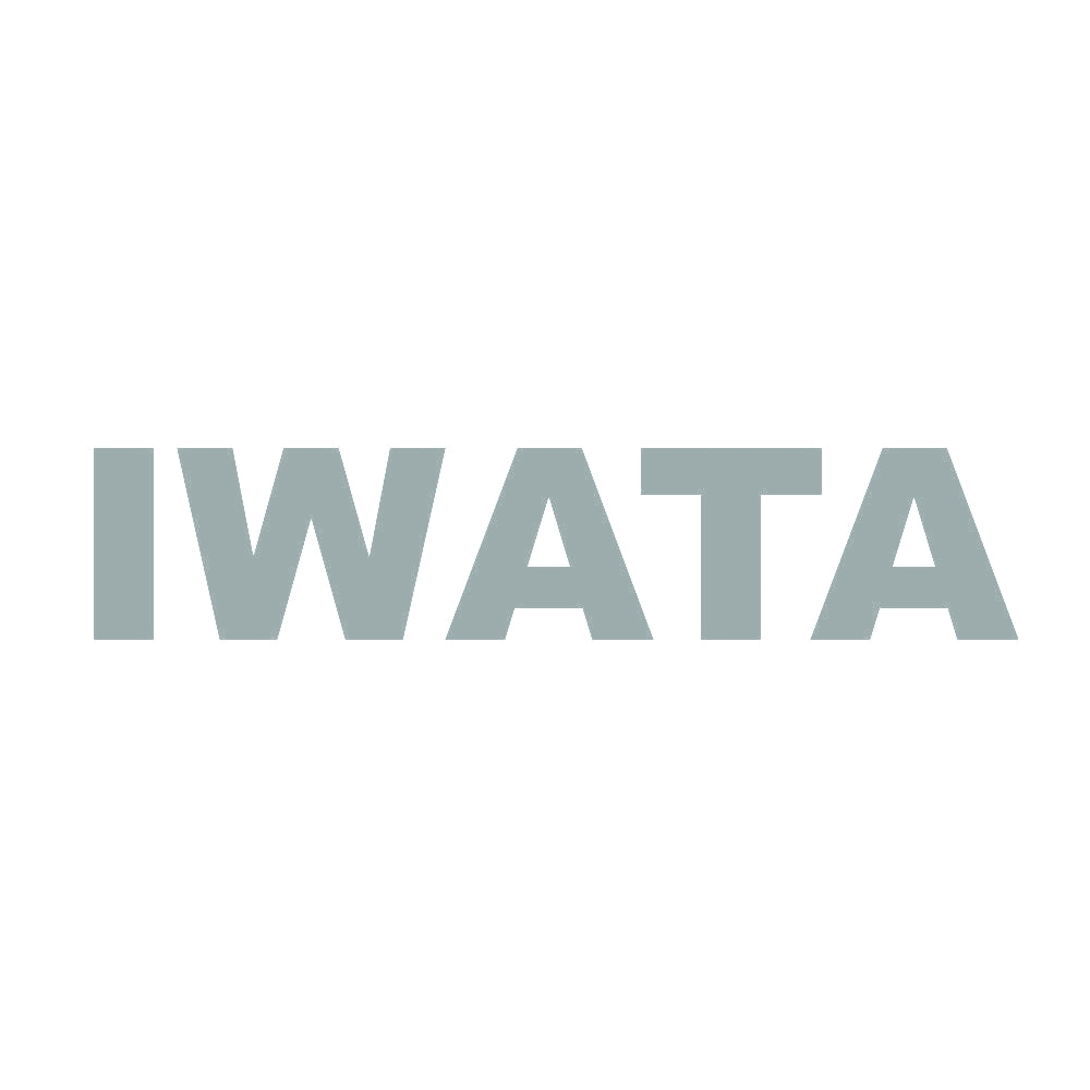 IWATA 10