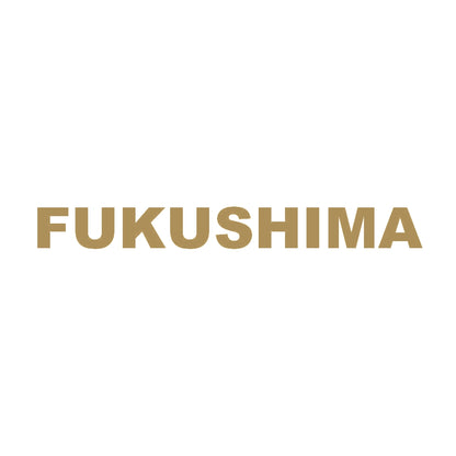 FUKUSHIMA 9