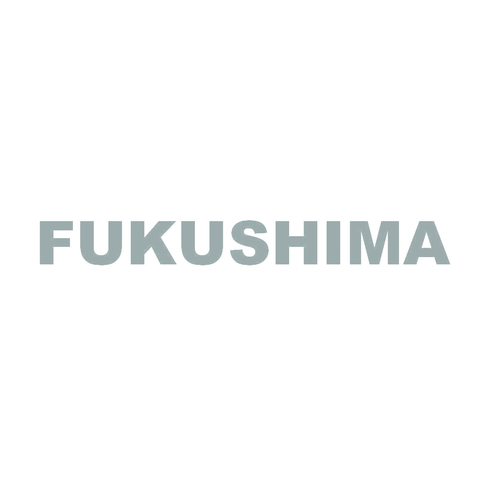 FUKUSHIMA 10