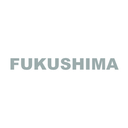 FUKUSHIMA 10