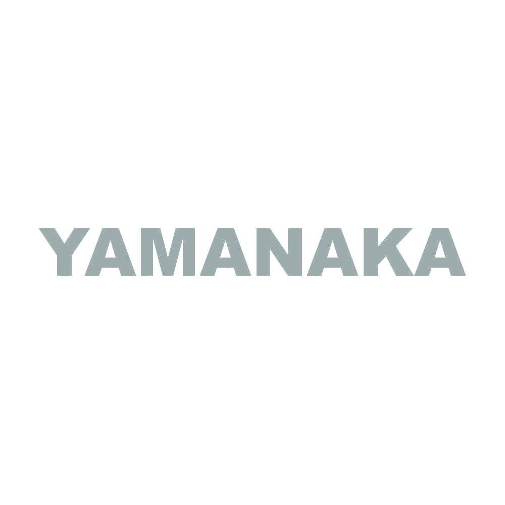 YAMANAKA 10