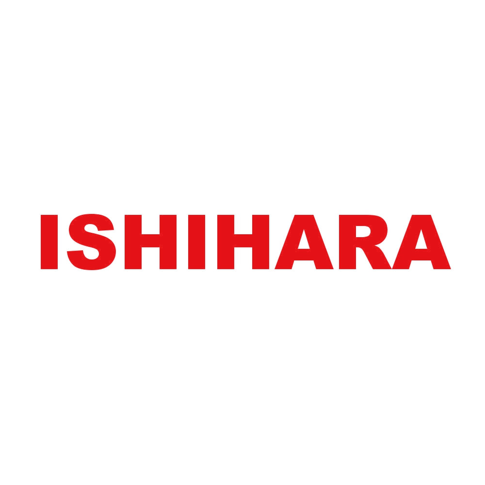 ISHIHARA 8