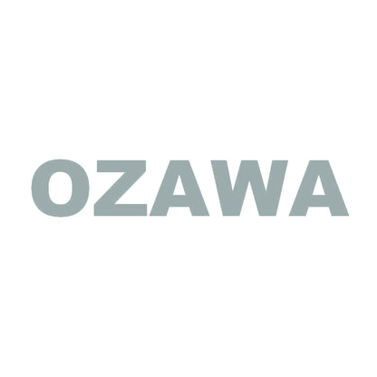 OZAWA 10