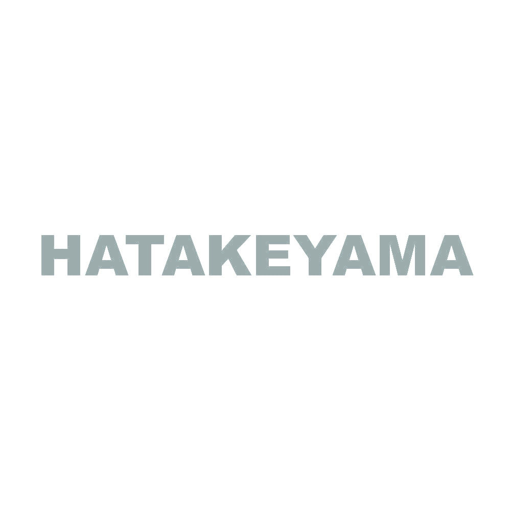 HATAKEYAMA 10