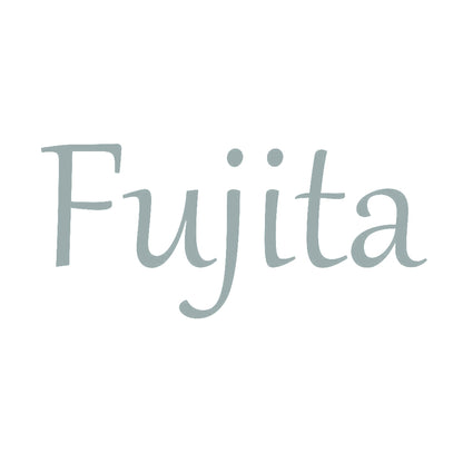Fujita 10