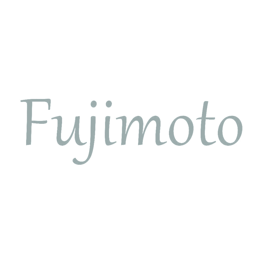 Fujimoto 10