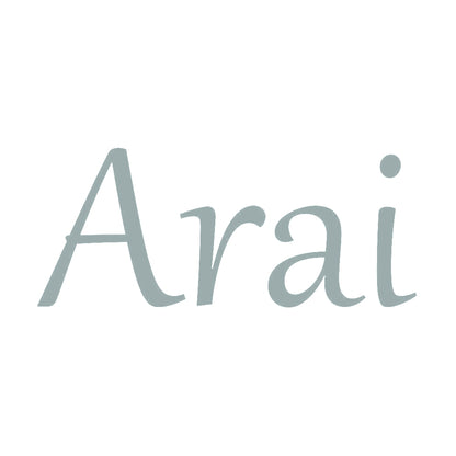 Arai 10