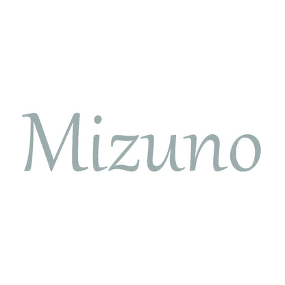 Mizuno 10