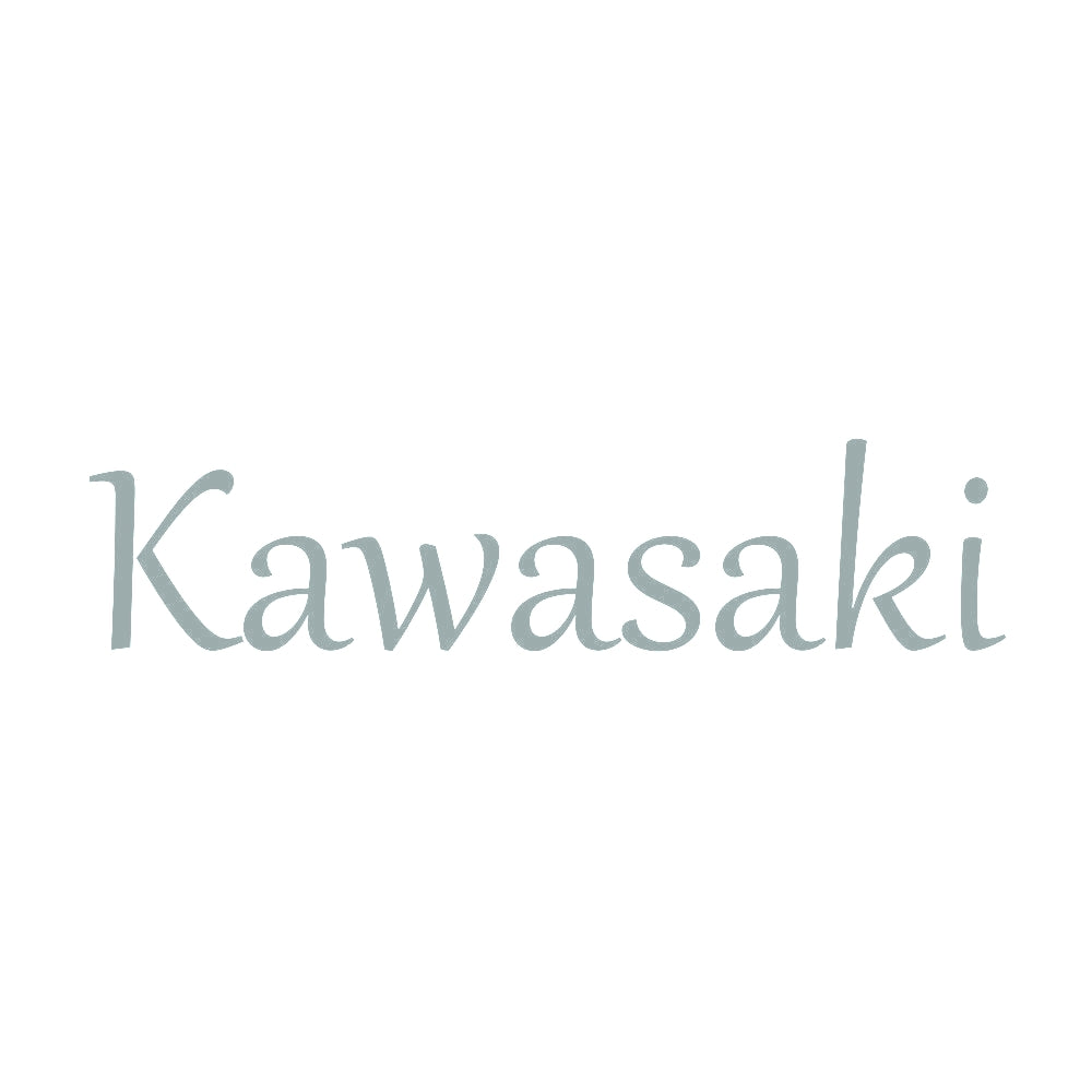 Kawasaki 10