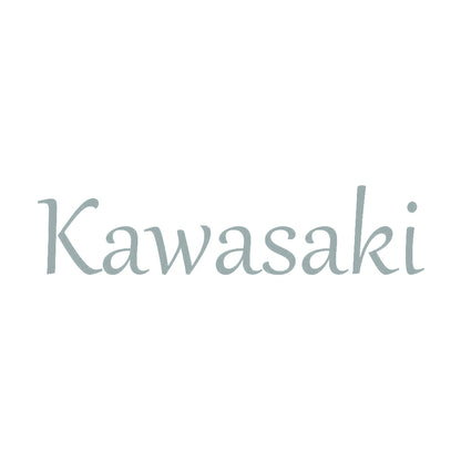 Kawasaki 10
