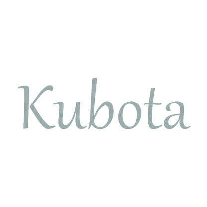 Kubota 10