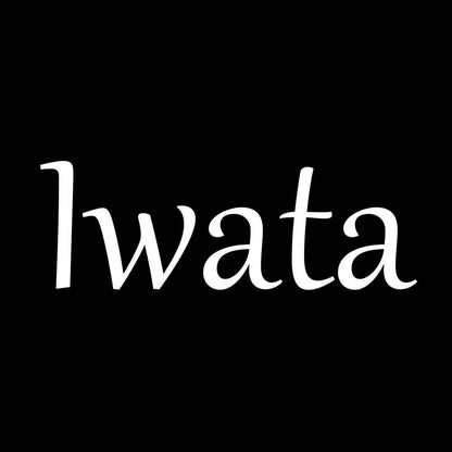Iwata 7