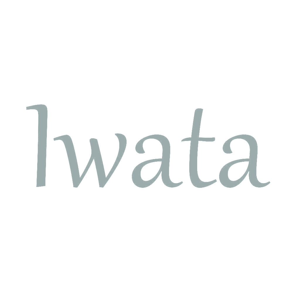 Iwata 10