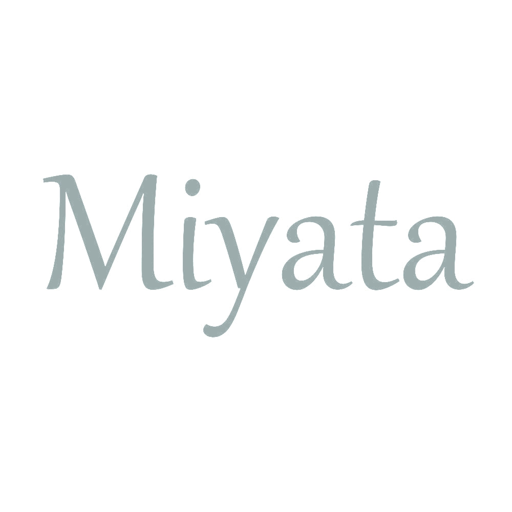 Miyata 10