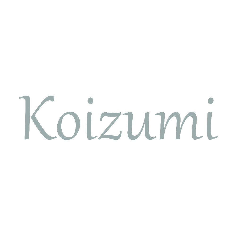 Koizumi 10