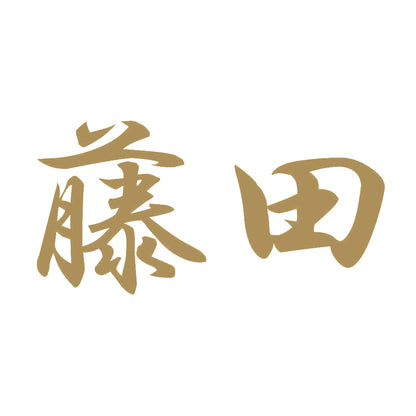 藤田 9