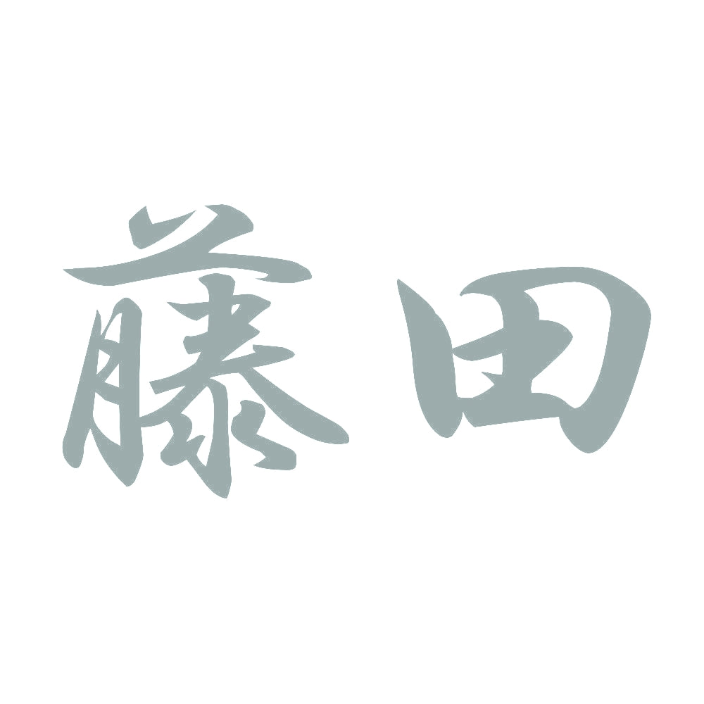 藤田 10