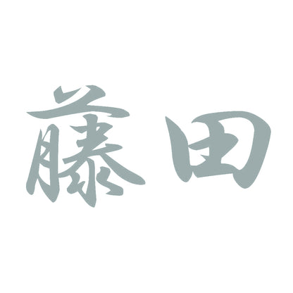 藤田 10