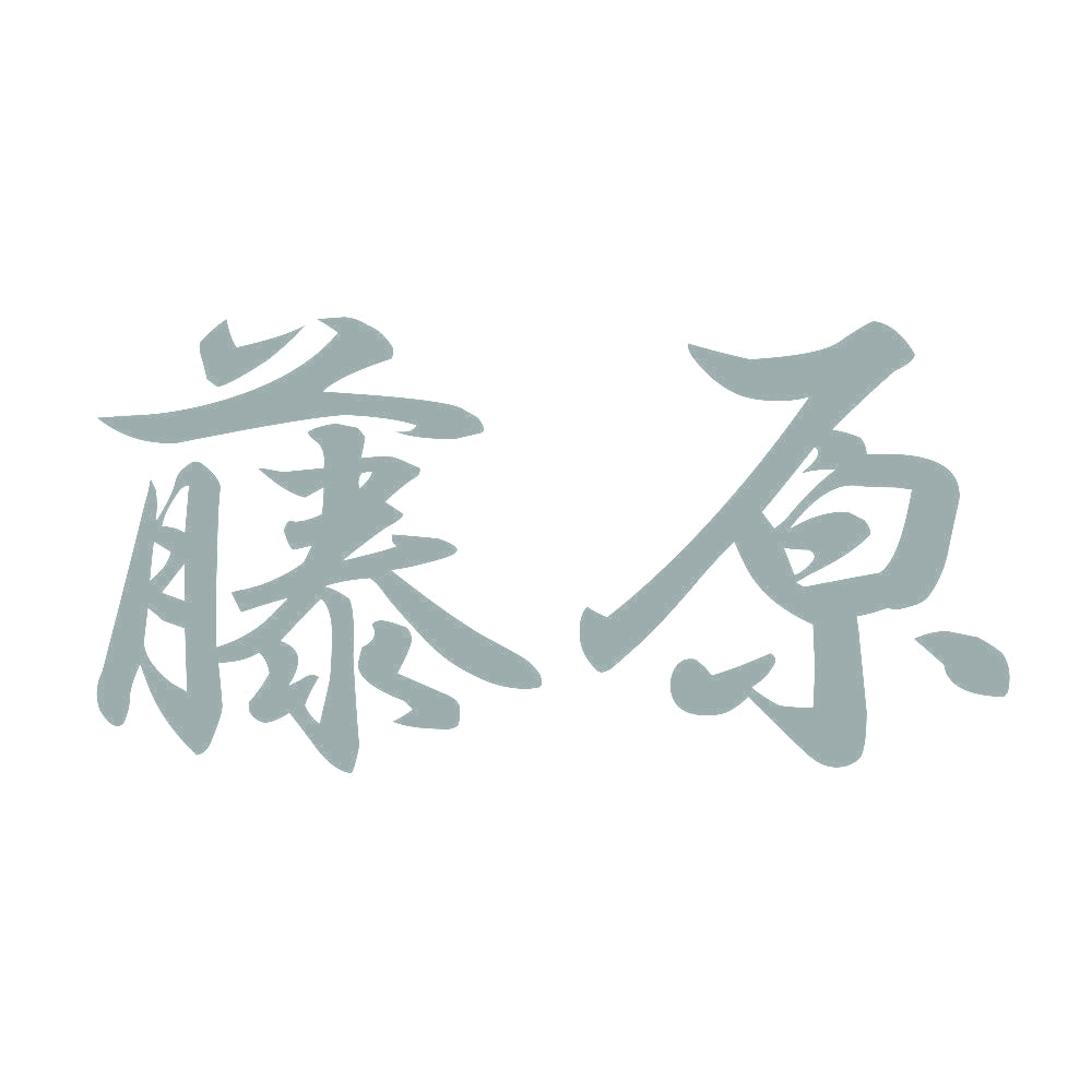 藤原 10