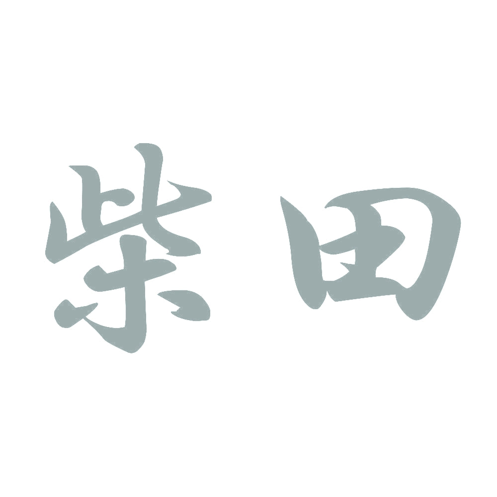 柴田 10