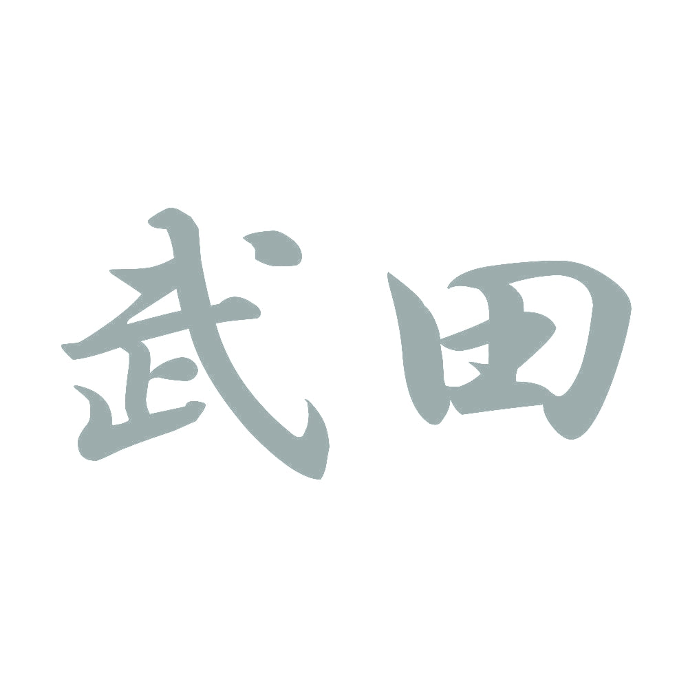 武田 10