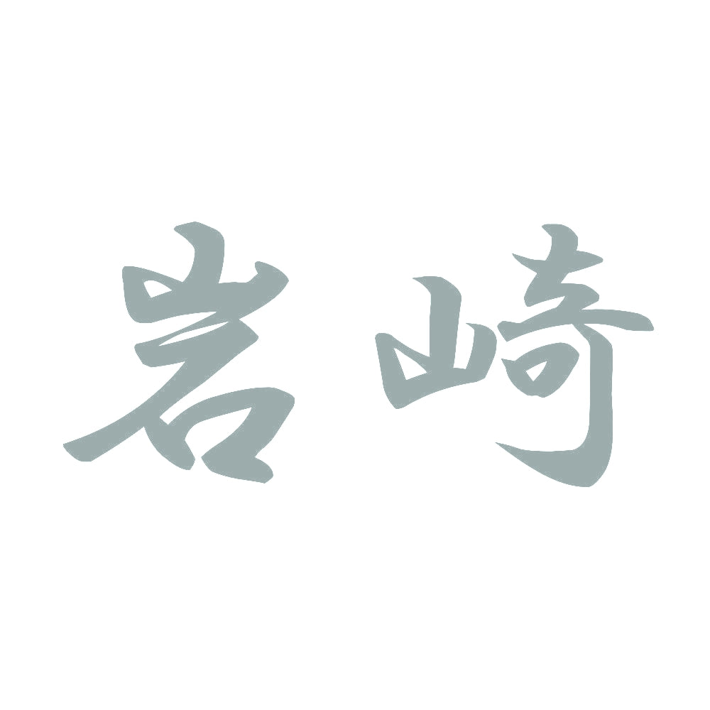 岩崎 10