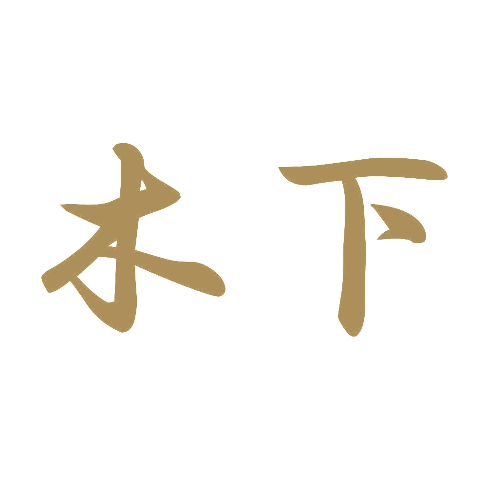 木下 9