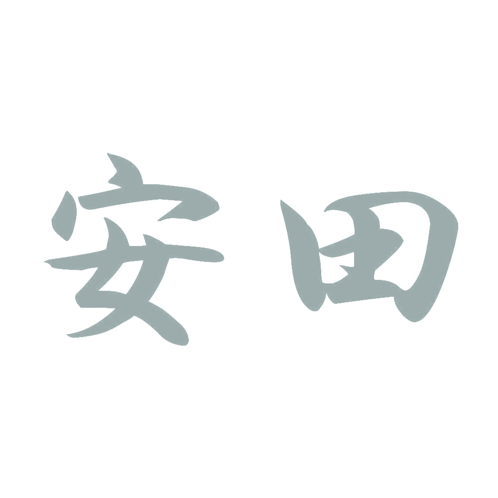 安田 10